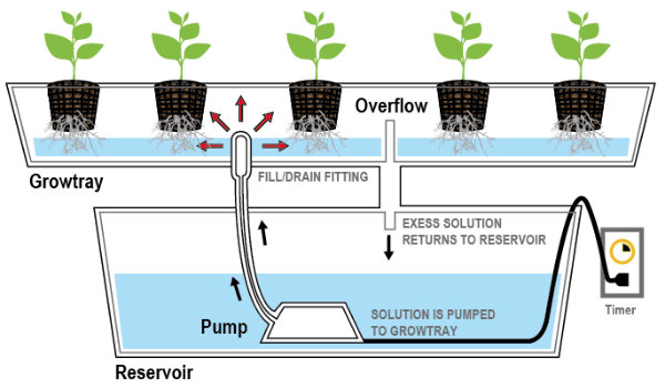 Homemade Ebb And Flow System